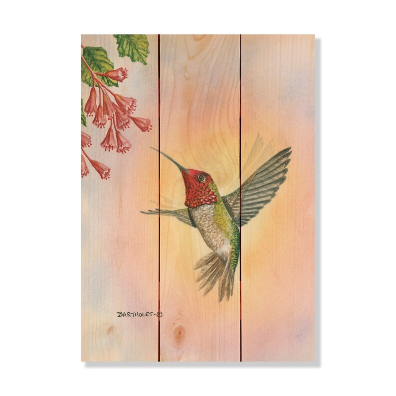 Hummingbird / Art Print on Wood / Wood Wall Art / Wall Art / Etsy