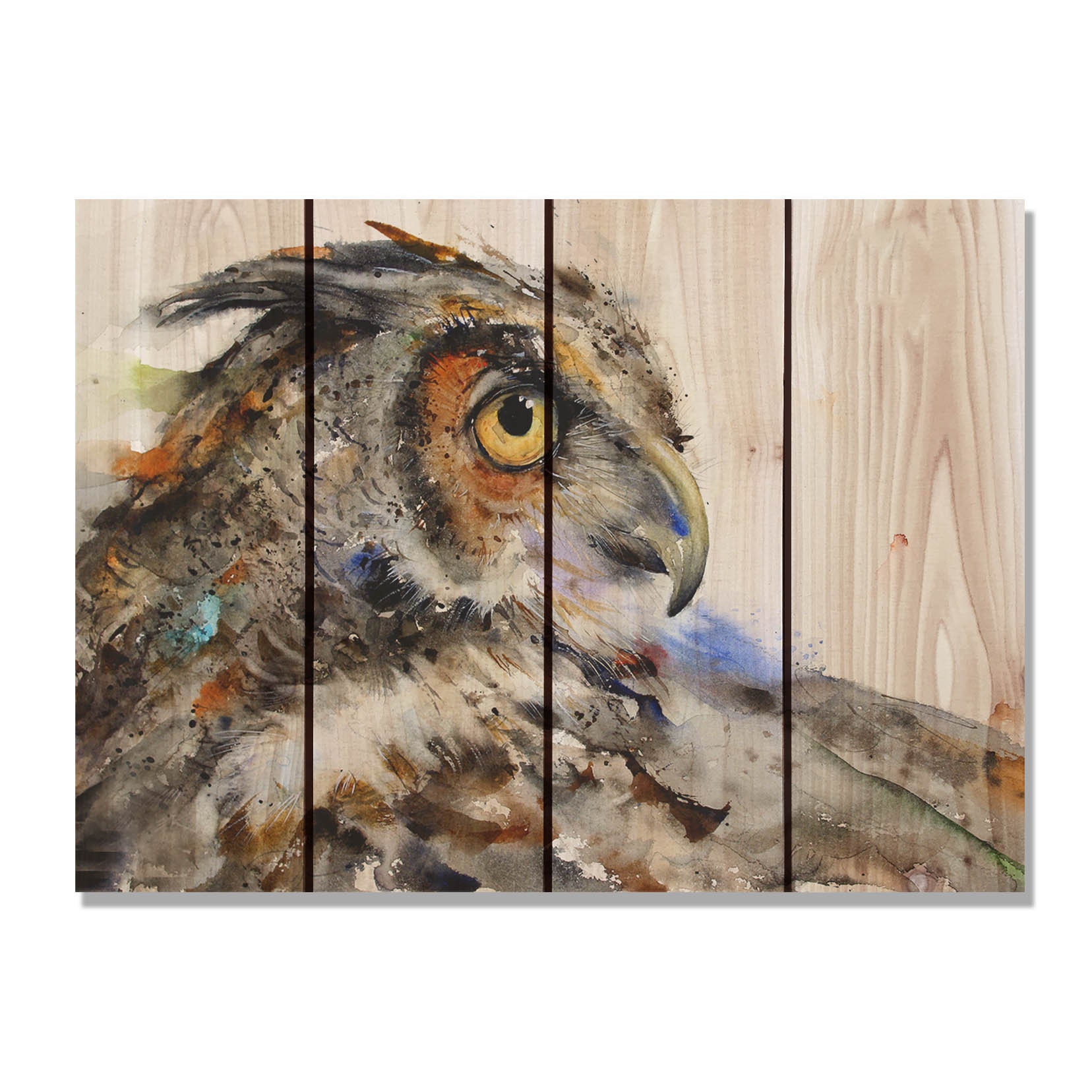 Watercolor Owl Print on Wood 22x16 Looking Back | Etsy