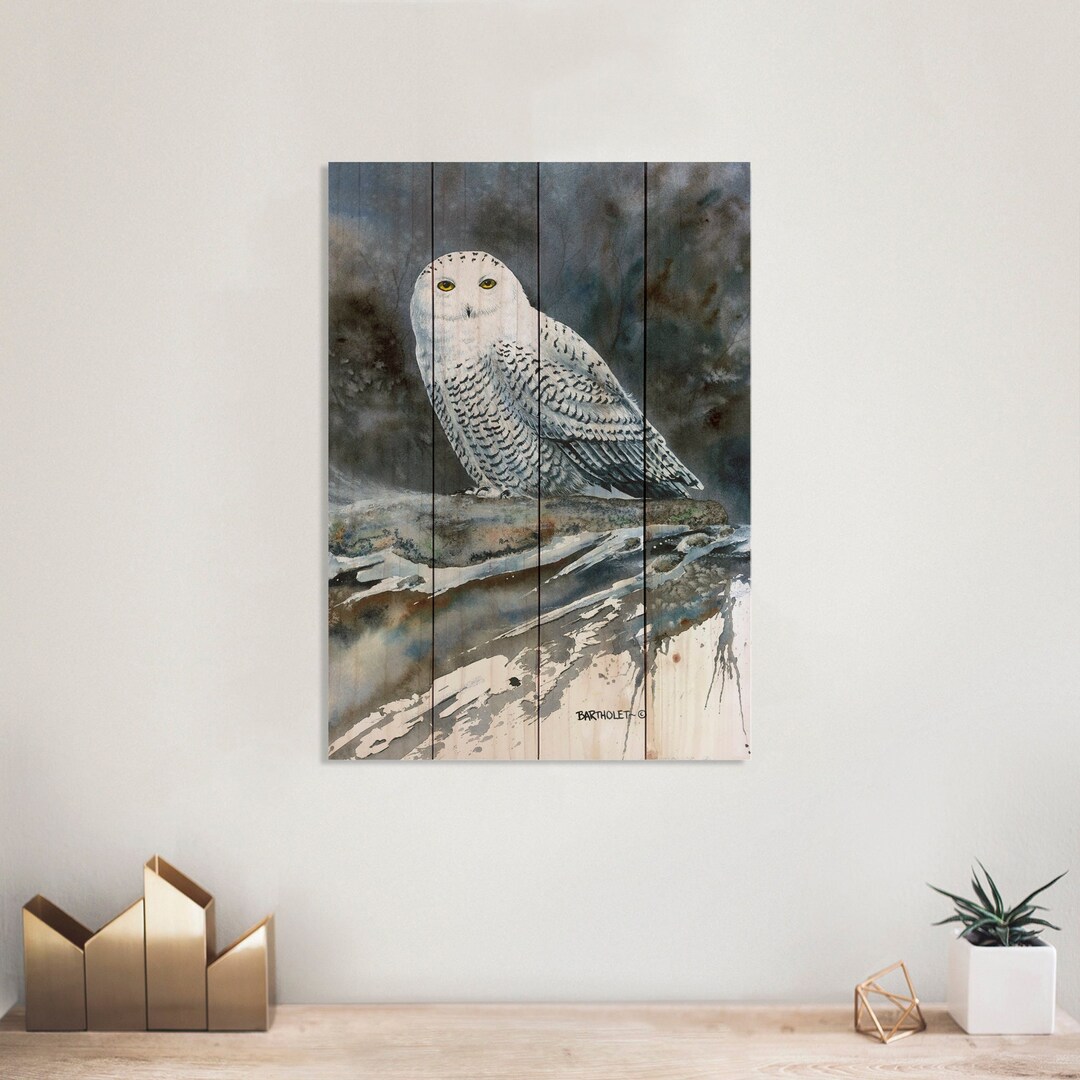 Arctic Ghost Owl Watercolor Print on Wood. Indoor and Outdoor - Etsy
