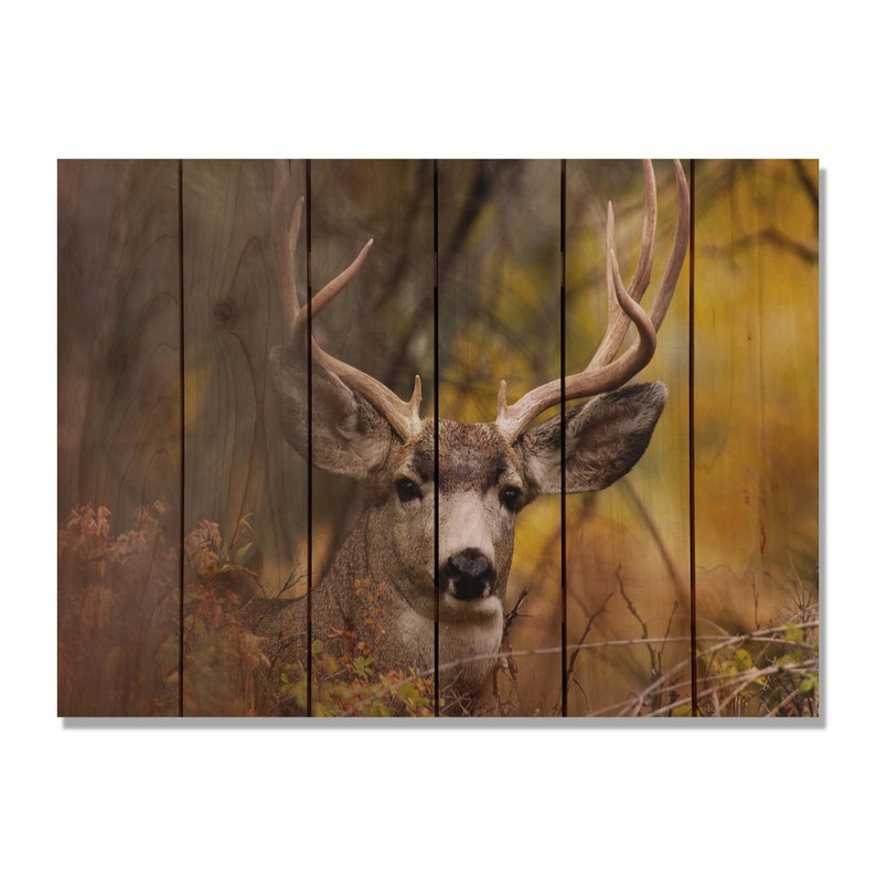 Deer Print On Wood Perfect Look Man Cave Decor Wall Hanging Etsy