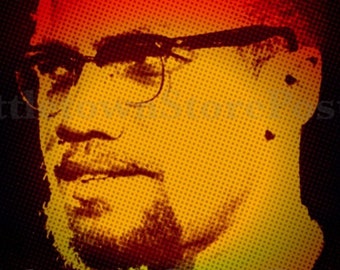 Malcolm X Quote Poster 11x17 inches Awesome Poster.