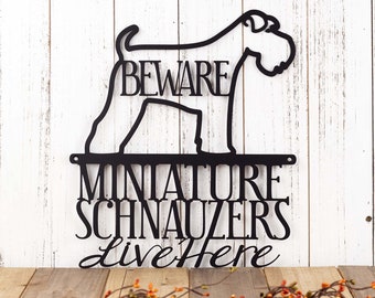 Miniature Schnauzers Live Here Metal Sign, Full Tail, Schnauzers, Beware Dog Sign