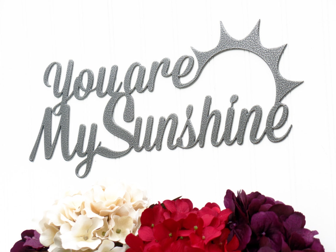 You Are My Sunshine Metal Sign Silver 17x7.25 Word Art Etsy