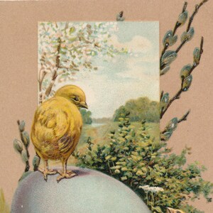 Pasqua: antica cartolina di Pasqua del 1908. Soffici pulcini dorati appollaiati su un uovo in un campo di campagna in fiore in primavera.