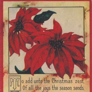 Christmas: 1916 Antique Christmas Postcard with Poinsettia Design - Vintage Holiday Card - Ephemera Collectible
