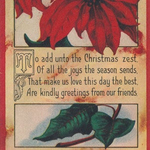 Natale: cartolina di Natale antica del 1916 con motivo a stella di Natale - Biglietto di auguri vintage - Oggetti da collezione effimeri