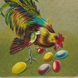 Pasqua: antica cartolina pasquale dei primi del '900. Un gallo da cortile abbagliante controlla le uova di Pasqua colorate la mattina di Pasqua.