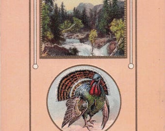 Antique 1908 Thanksgiving Postcard – Embossed Turkey and Scenic River Landscape – Vibrant Vintage Artwork