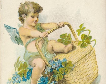 Cherubic Angel Birthday Greeting - Antique Early 1900s Postcard with Myosotis Flowers