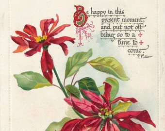 Noël : 1909 Poinsettia vibrants & Fuller Quote Carte postale de Noël antique en relief en relief - Cartes de collection Tuck's