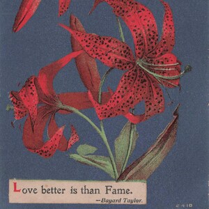 Best Wishes: Antike rote Tigerlilien Postkarte mit Zitat von Bayard Taylor - "Love Better is than Fame" (um 1900)