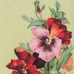 Meilleurs voeux : carte postale pensée antique imprimée en Saxe – n° 670 | Motif floral vif en relief