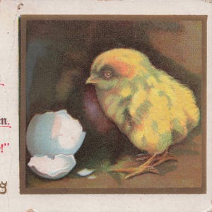Antike Oster-Postkarte – Frühe 1900er – "Our Lord is Risen" – Christliche Vintage-Kunst
