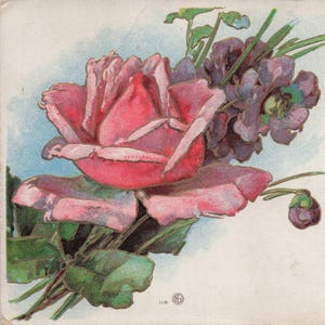 Carte Postale Ancienne d'Anniversaire avec Rose Rose et Violettes – Éphémère du Début des Années 1900