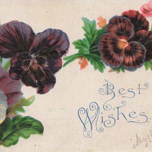 Charmante carte postale ancienne “Meilleurs Vœux” – Fleurs de pensée, datée de 1908
