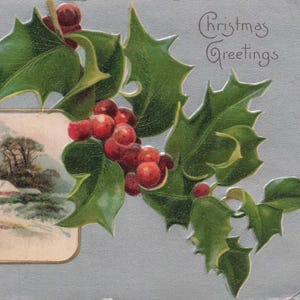 Natale: cartolina di Natale antica – Agrifoglio in rilievo e scena invernale – saluti vintage dei primi anni del 1900