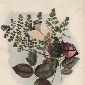 Meilleurs voeux : carte postale florale ancienne de 1907 « Tous mes vœux de bonheur » – bouquet de tulipes et de fougères