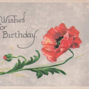 Geburtstag: Bright Blooms & Birthday Wishes - Antike rote Mohn-Postkarte, Serie 9170/6