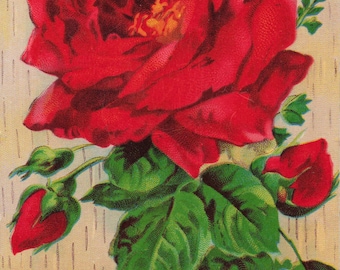 Antique “Sincere Greetings” Rose Postcard – Romantic Red Rose Floral Greeting Card