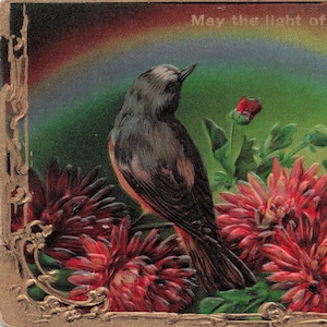 Carte Postale Ancienne Embossée – "Que la Lumière de l'Amour Brille" – Oiseau Vintage & Fleurs (Début 1900)