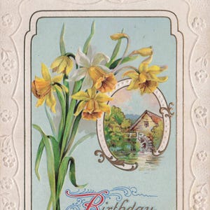 Geburtstag: Exquisite 1909 geprägte Geburtstagspostkarte mit Narzissen und rustikaler Cottage-Szene - Antikes Ephemera-Sammlerstück