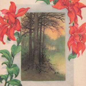 Natale: cartolina antica del 1923 "Christmas Cheer" con stelle di Natale e scena di foresta - cartolina di auguri vintage con saluto poetico