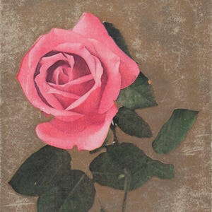 Meilleurs voeux : carte postale rose antique de 1910 – Charm poétique « Rassemblez des boutons de rose »