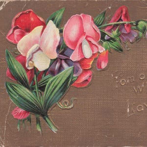 De celui qui vous aime  – Carte postale ancienne aux pois de senteur (1909)