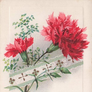 Natale: cartolina d'auguri floreale d'epoca dei primi anni del 1900 - effimera da collezione con garofani rossi e motivo in pizzo