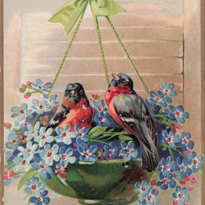 À mon Valentin  – Carte postale ancienne embossée avec oiseaux et fleurs (Tuck’s, début 1900s)