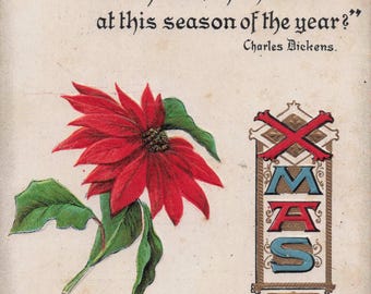 アンティーク・クリスマスポストカード（1911年）– ポインセチアとチャールズ・ディケンズの名言入り