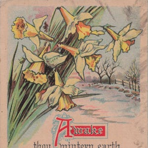 Ostern: Antike Osterpostkarte “Awake, Thou Wintery Earth” mit Narzissen & Thomas Blackburn Vers
