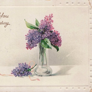 Geburtstag: Antike 1908 Postkarte – “Greetings from Monson, Mass.” - Wald- und Bachszene mit Birken