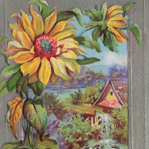Geburtstag: Antike 1910 Sonnenblumen Geburtstagspostkarte – “Congratulations on Your Birthday” mit Wassermühlen-Motiv – Prägung