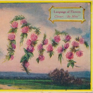 Saint-Valentin : ancien langage des fleurs, trèfle, carte postale romantique romantique - Éphémères de la Saint-Valentin au début des années 1900