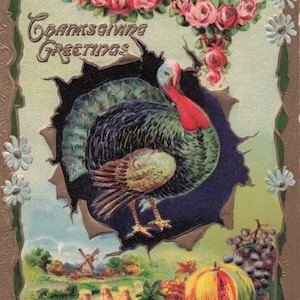 Thanksgiving: verbluffend mooie antieke ansichtkaart voor Thanksgiving-groeten – Turkije met reliëf en verleidelijk oogstontwerp