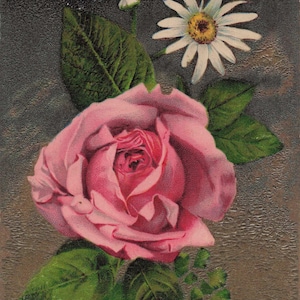Carte postale d’anniversaire antique – Charmant design de rose rose et marguerite (Fabriqué en Allemagne)