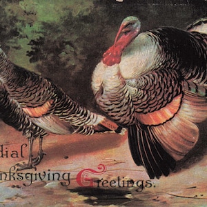 Carte Postale Ancienne de Thanksgiving 1909 – “Cordial Thanksgiving Greetings” avec Dindes Embossées – Éphémère Allemande