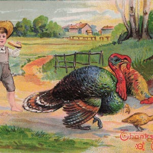 Ação de Graças: Adorável cartão postal antigo de Ação de Graças de 1910 – Menino com um bando de perus