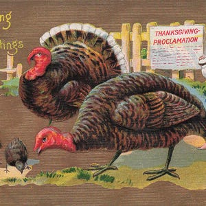 Antike Thanksgiving-Postkarte 1908 – Truthahnfamilie & Junge mit Proklamation – Vintage-Ephemera