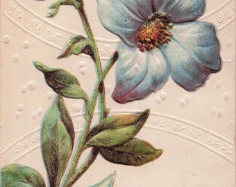 Antique “Best Birthday Wishes” Floral Postcard – Embossed Blue Flower Birthday Greeting Card