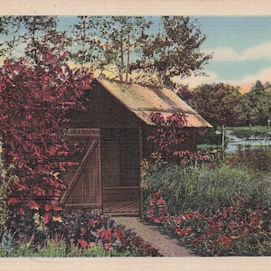 Carte Postale Antique des Années 40 Curt Teich – Scène de Jardin Bucolique | Série C.T. Art-Colortone | Livraison Gratuite