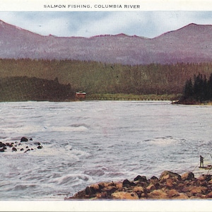 Oregon: Antique Postcard Salmon Fishing on the Columbia River in Oregon. This Antique Card is Circa 1920.