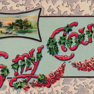 Melhores desejos: Cartão postal vintage em relevo "Para meu primo" - Hera e rosas com pôr do sol cênico - Impresso na Alemanha, início dos anos 1900