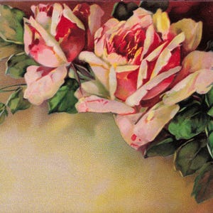 Antike Postkarte von 1908 – Geprägte Rosen & Handschrift – Florales Vintage-Kunstwerk