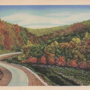 Carte Postale Antique Curt Teich "Scène de Route" – Paysage Montagneux Serein | Série C.T. Art-Colortone | Livraison Gratuite