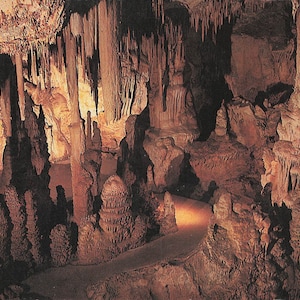 Nevada : carte postale vintage du parc national du Grand Bassin - Palais gothique des grottes de Lehman
