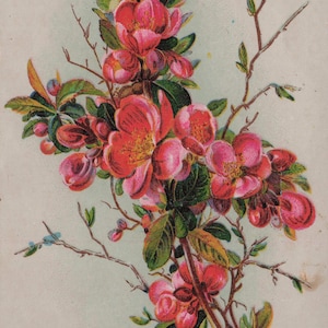 Vintage Blumen-Postkarte