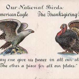 Ação de Graças: Cartão postal antigo de Ação de Graças - "Nossos pássaros nacionais" Águia americana e peru - Saudação de feriado patriótico do início dos anos 1900