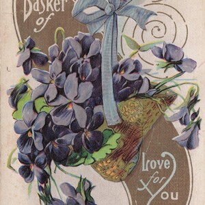 Un panier d’amour pour toi  – Carte postale ancienne aux violettes (1909)